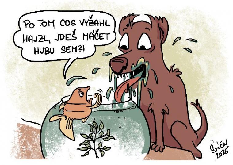 česká unie karikaturistů
